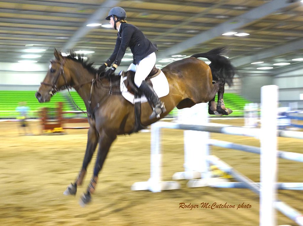 Horse Jumping