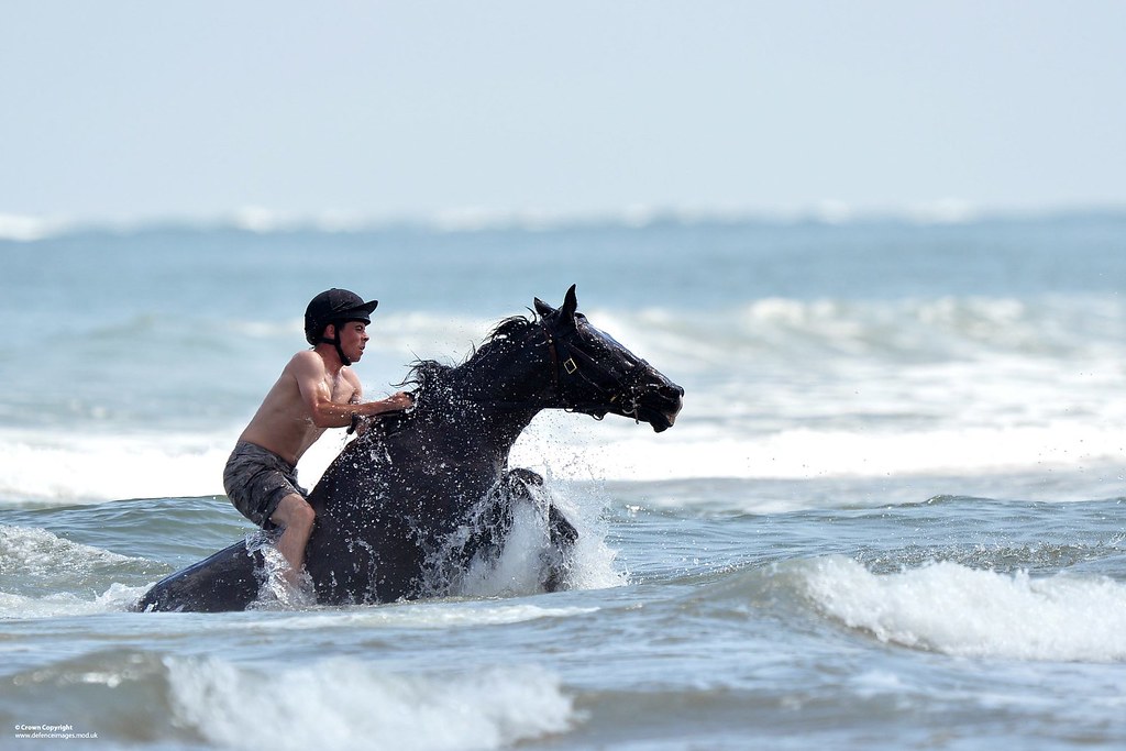Horse and rider at the beach