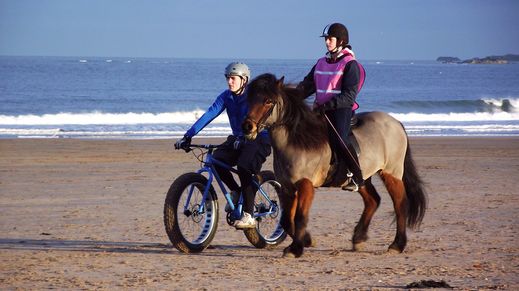 Two people riding on a winter beach