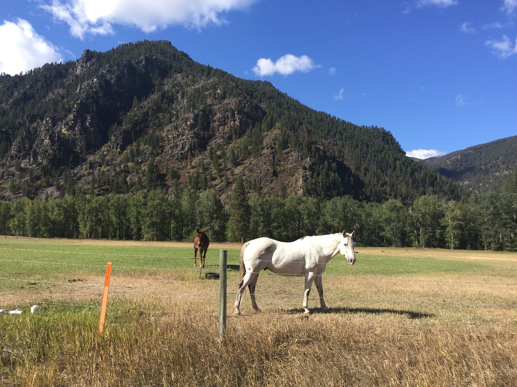 Rock Creek, Montana. 