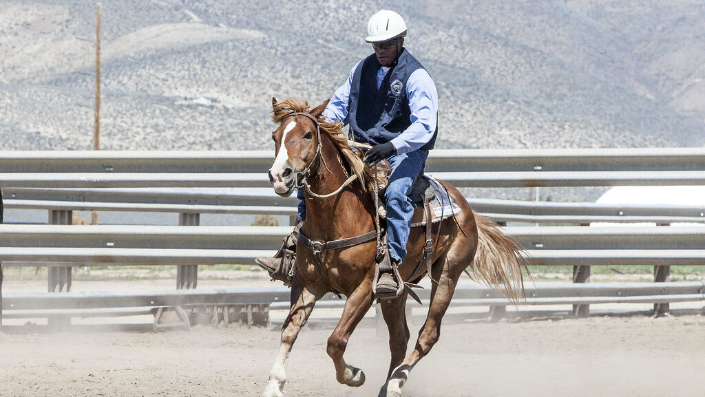 A man on backoff brown horse