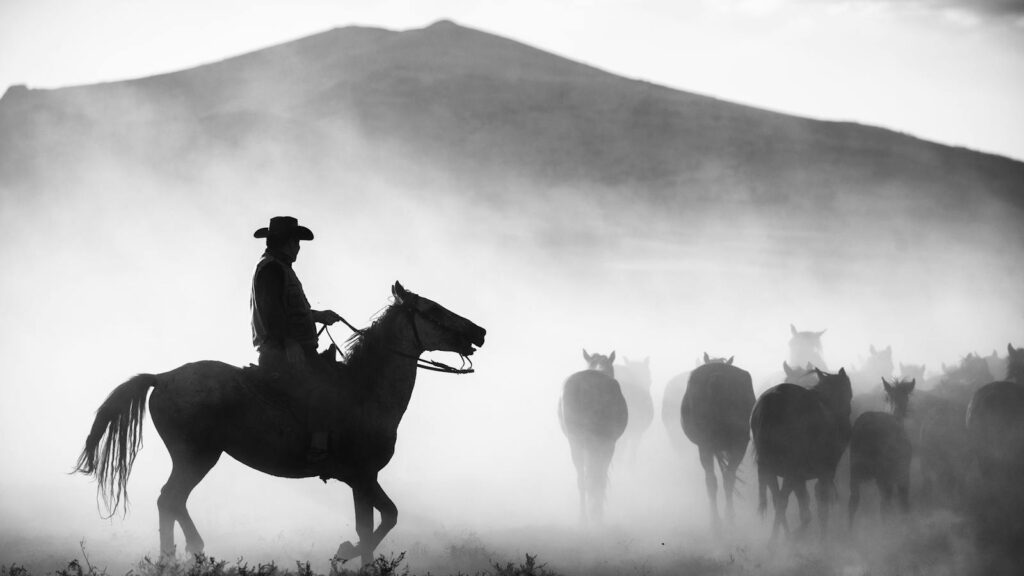A cowboy on horseback herding horses in a dusty, rural landscape in Turkey.
