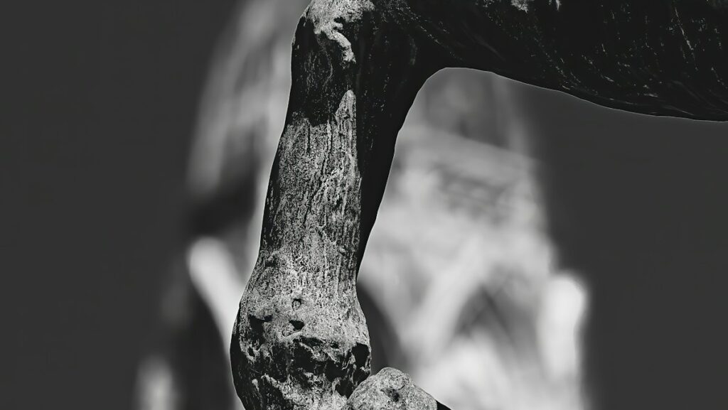 Black and white photo of horse leg