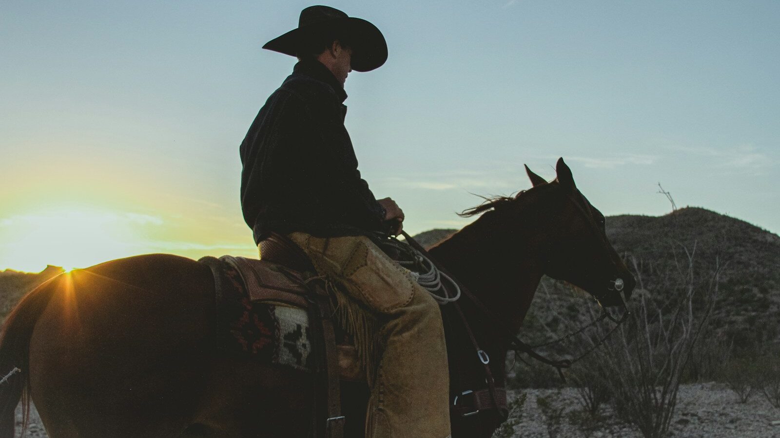 a man riding on the back of a brown horse