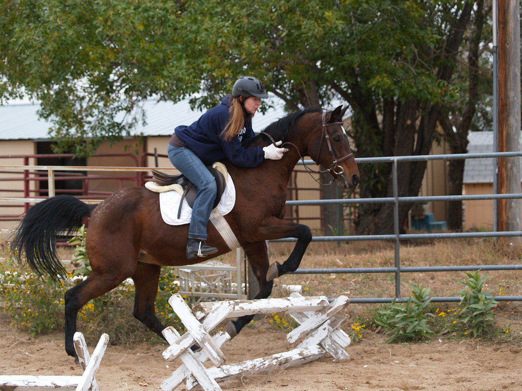 Horse cavaletti then low fence