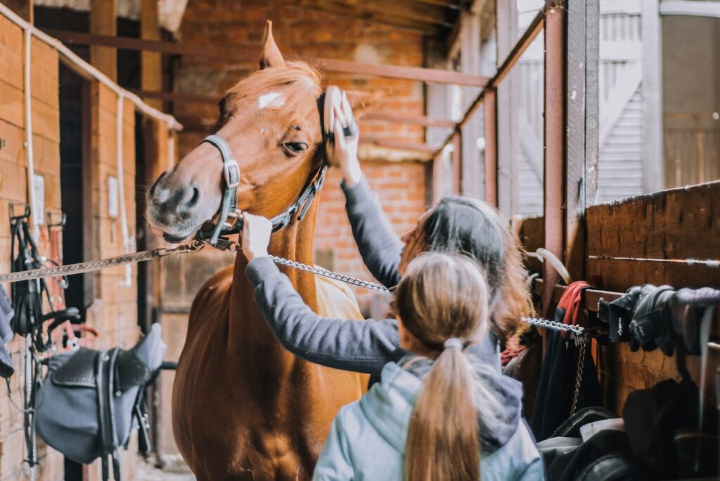 Girl in blue jacket holding brown horse