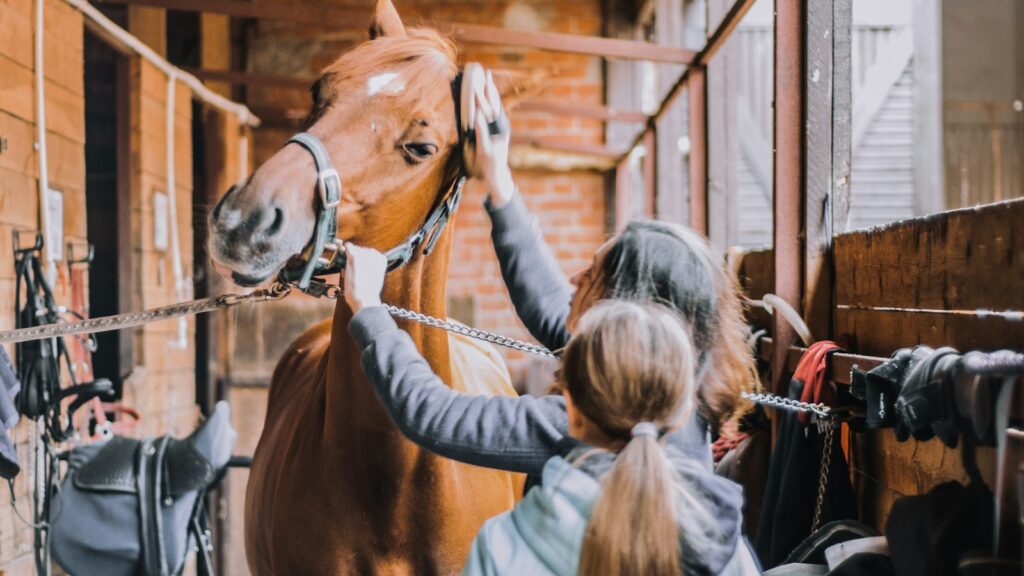 girl in blue jacket holding brown horse