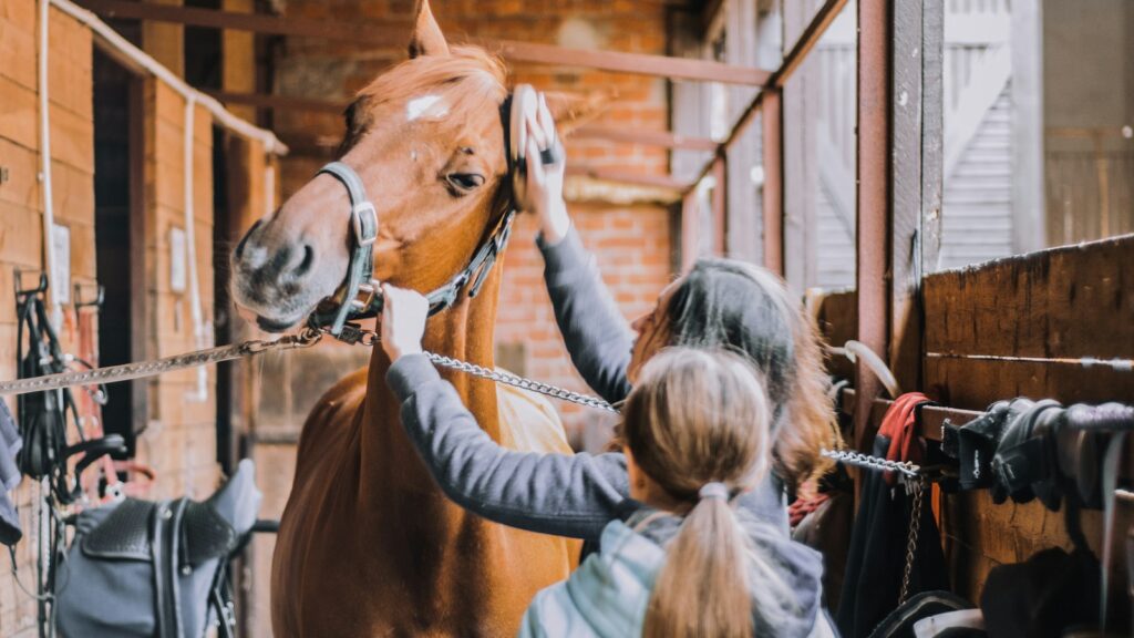 girl in blue jacket holding brown horse