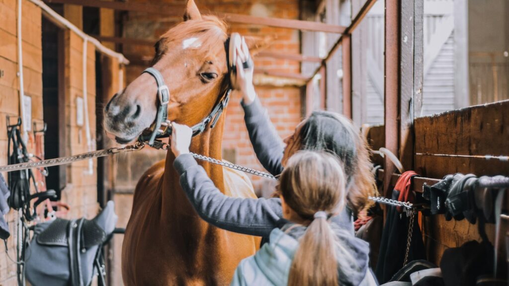 girl in blue jacket holding brown horse
