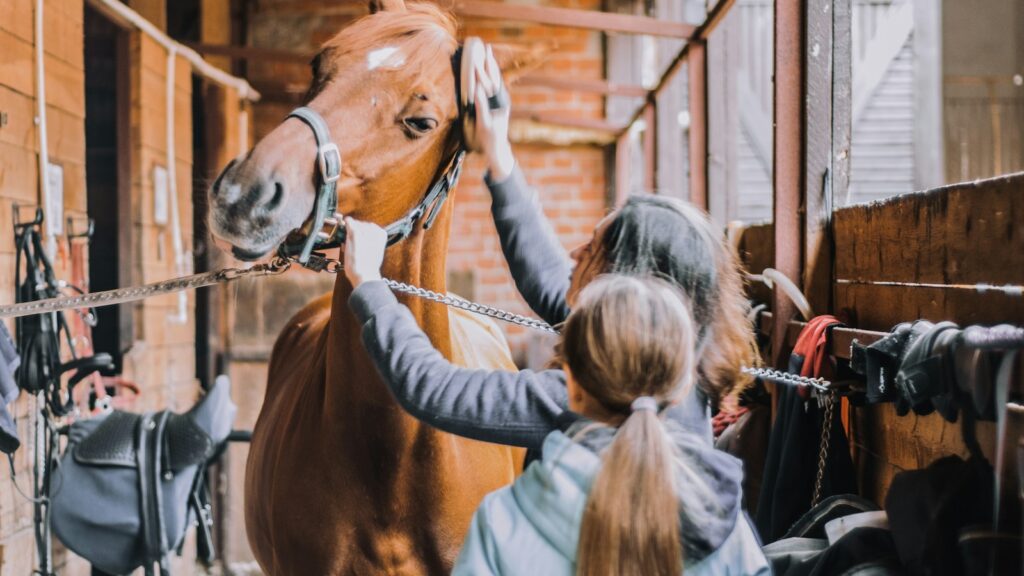 girl in blue jacket holding brown horse