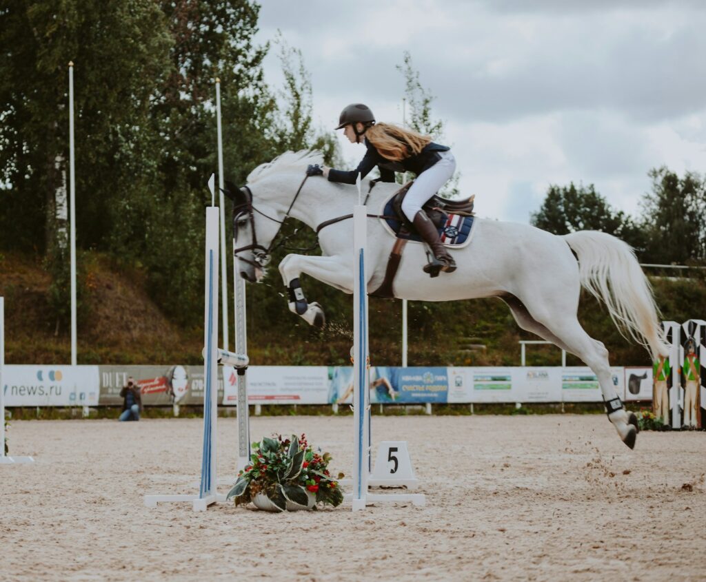 Woman riding white horse during daytime
