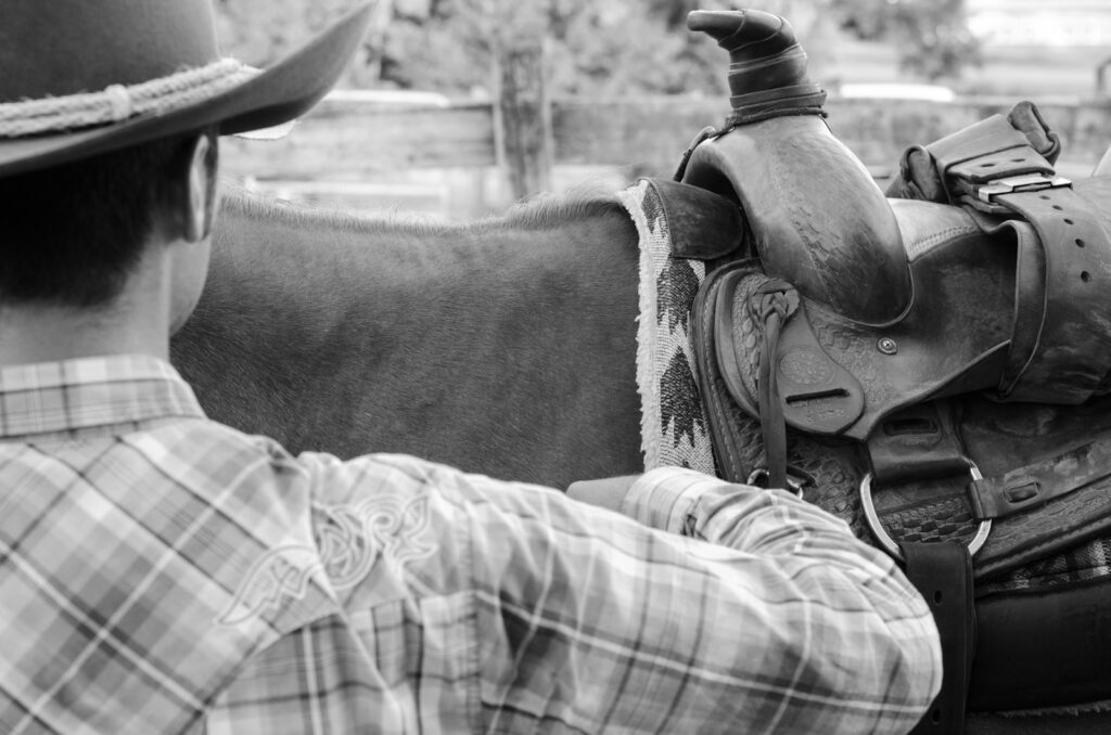 A man and a horse