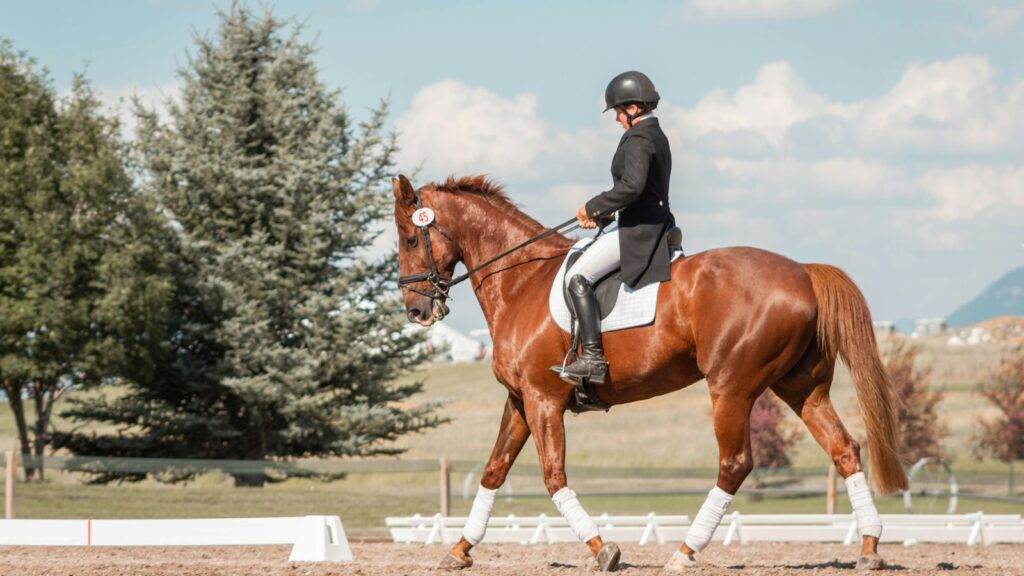 man in black helmet riding brown horse during daytime