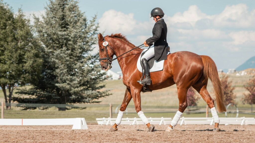 man in black helmet riding brown horse during daytime