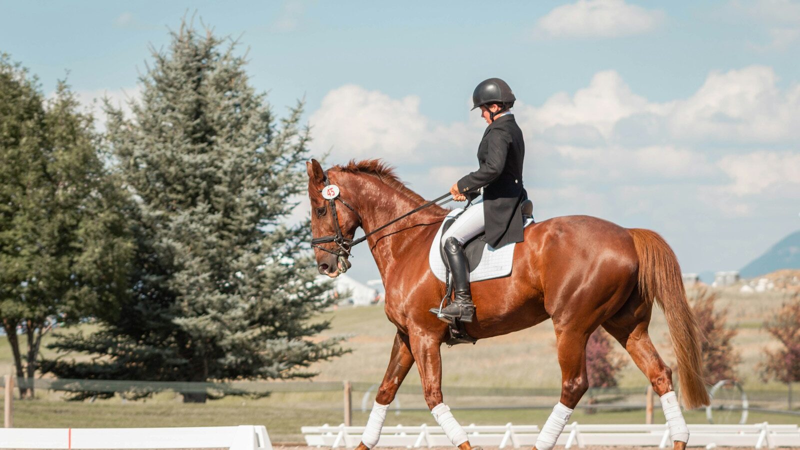 man in black helmet riding brown horse during daytime