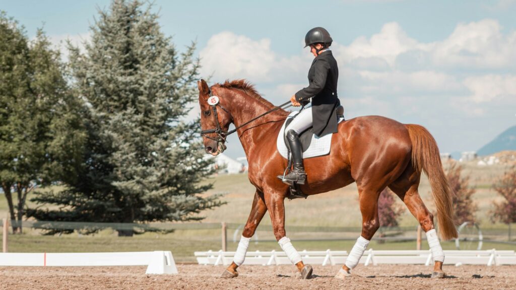 man in black helmet riding brown horse during daytime