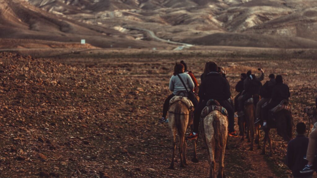 woman riding horse during daytime