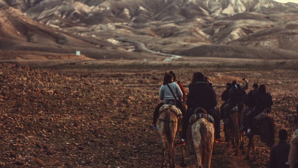 woman riding horse during daytime