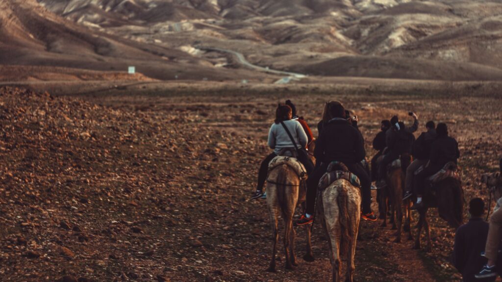 woman riding horse during daytime