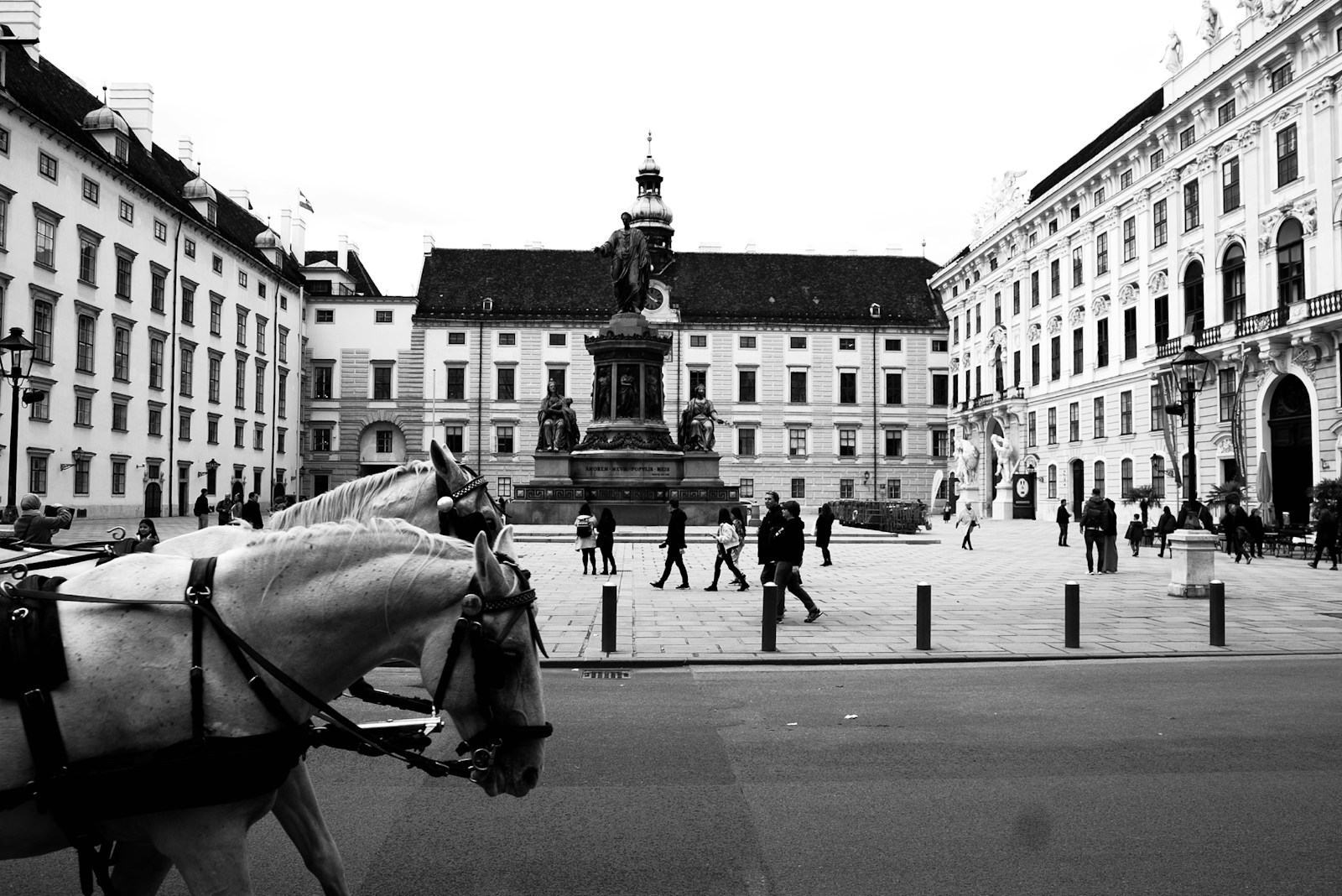 Horses in traffic