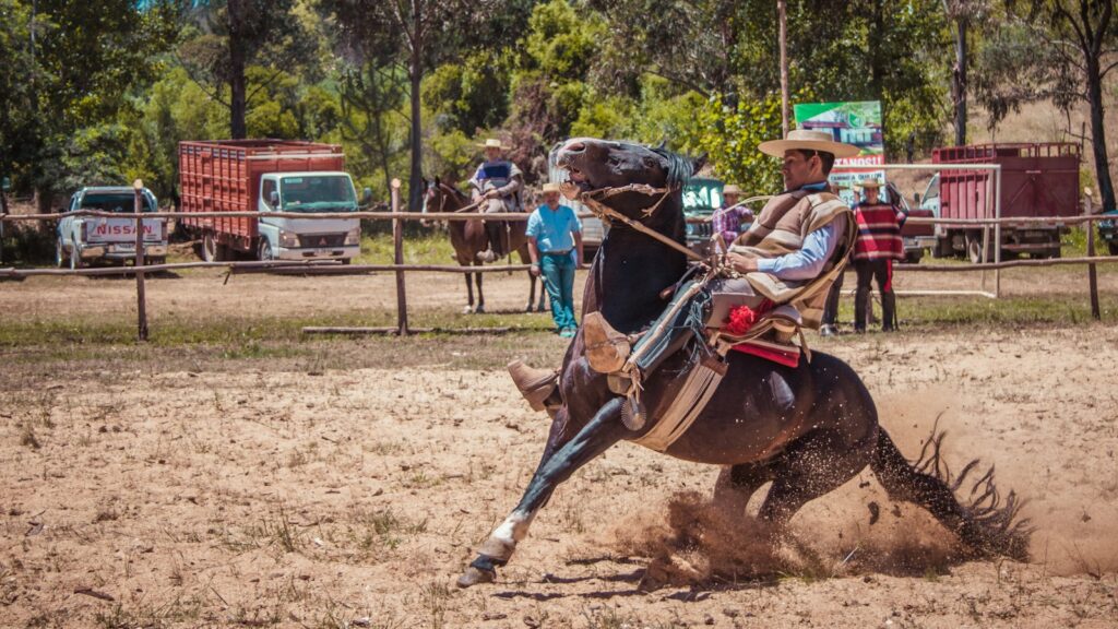man riding horse