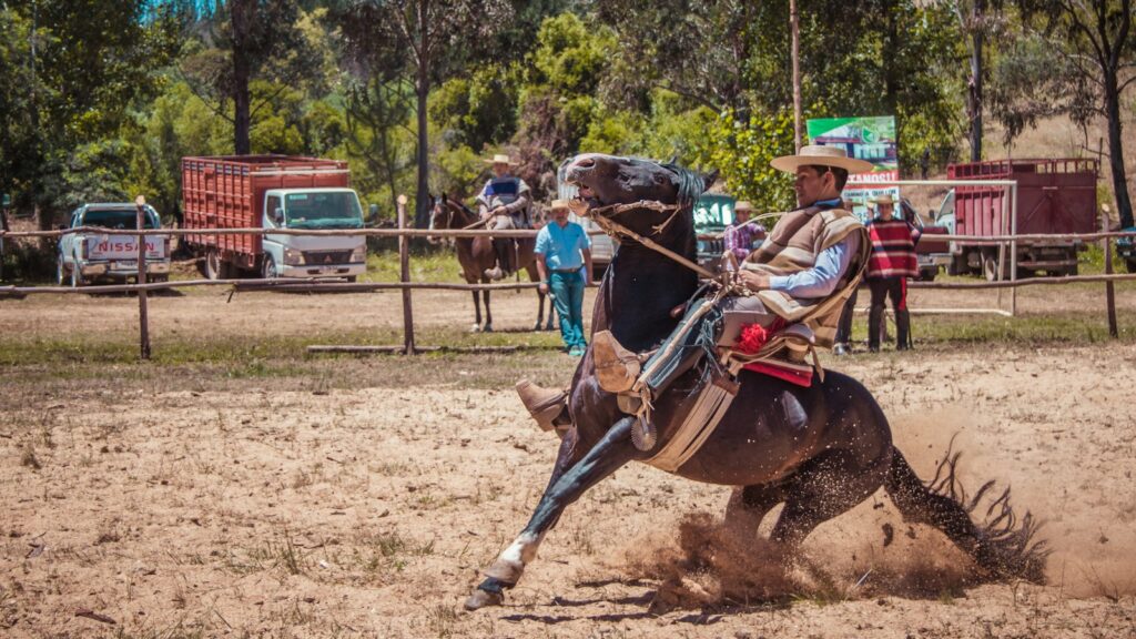man riding horse