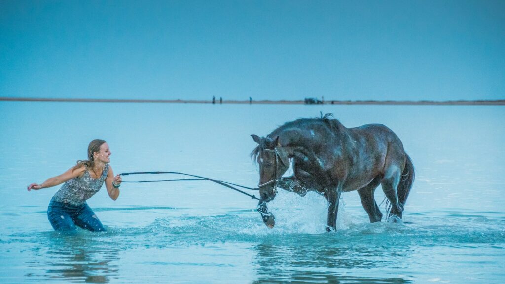 woman pulling brown horse