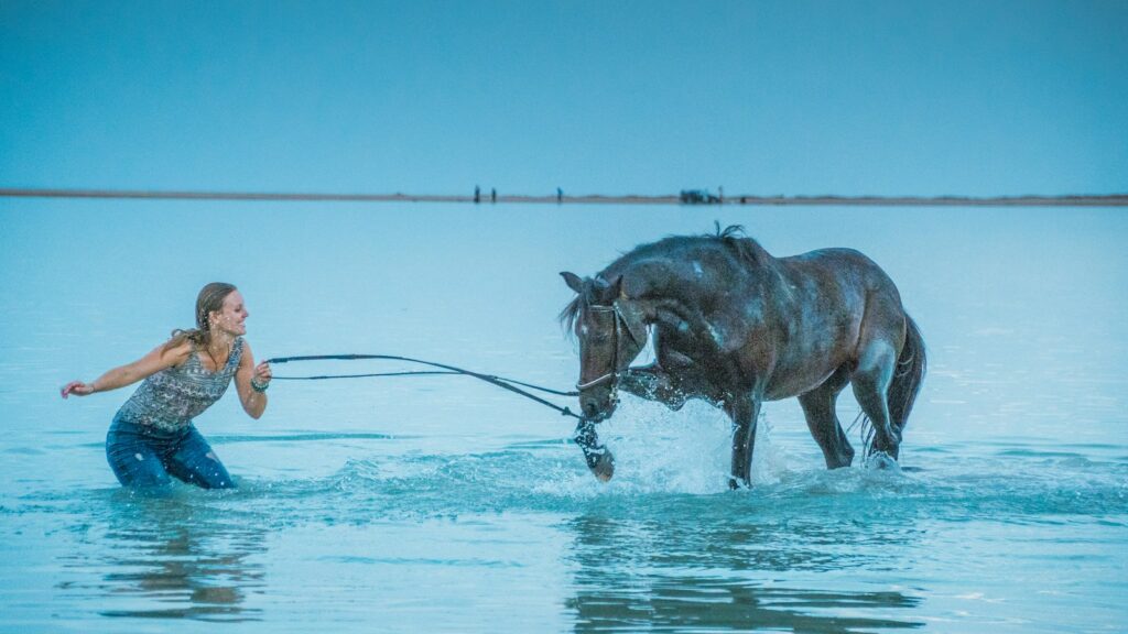 woman pulling brown horse