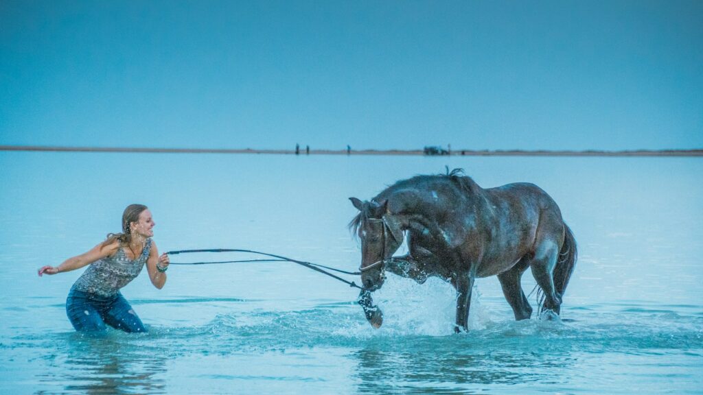 woman pulling brown horse