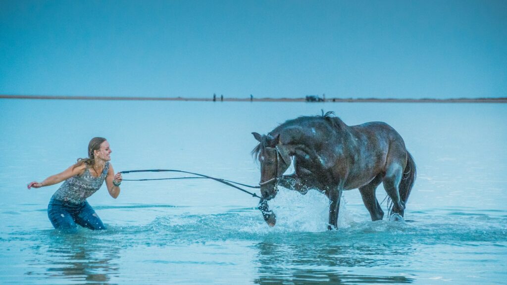 woman pulling brown horse