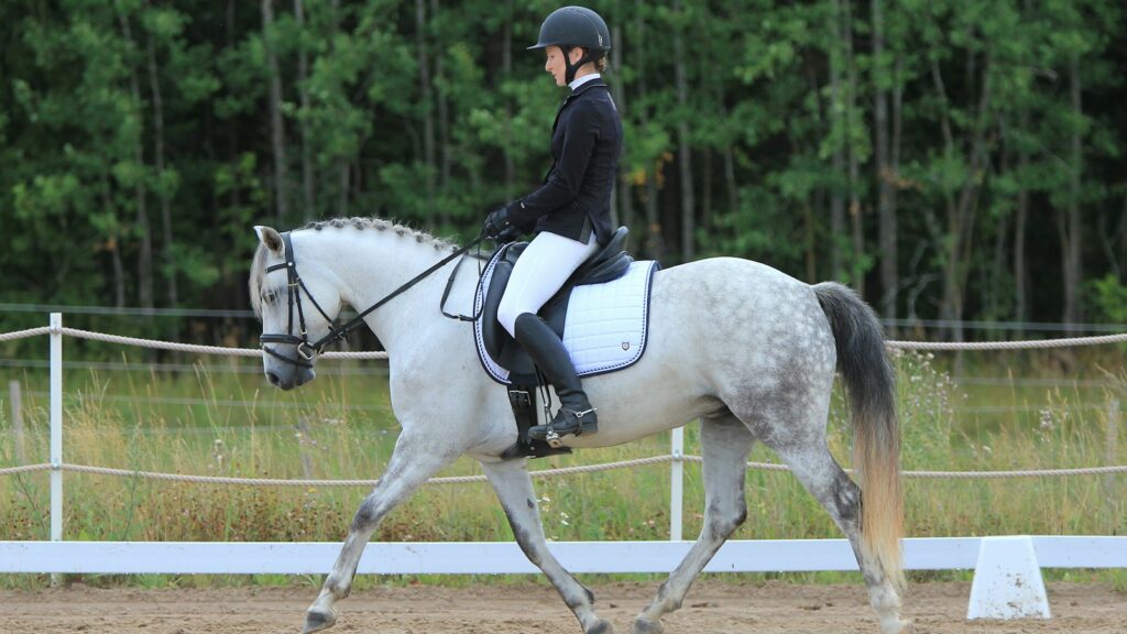 unknown person riding on white horse