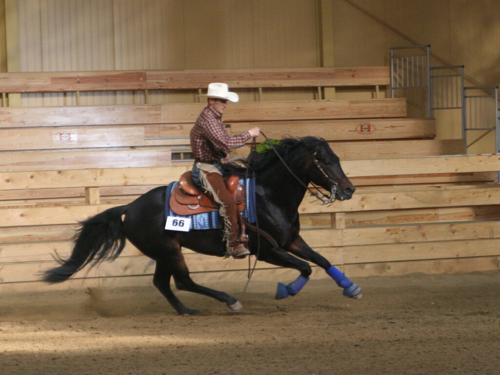Aleksander Jarmula, reining, Roleski 4 Spins 2008 Show