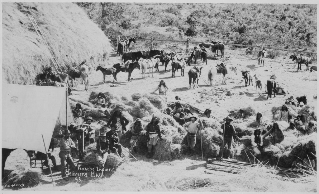 Apaches delivering hay at Fort Apache, Arizona, 1893