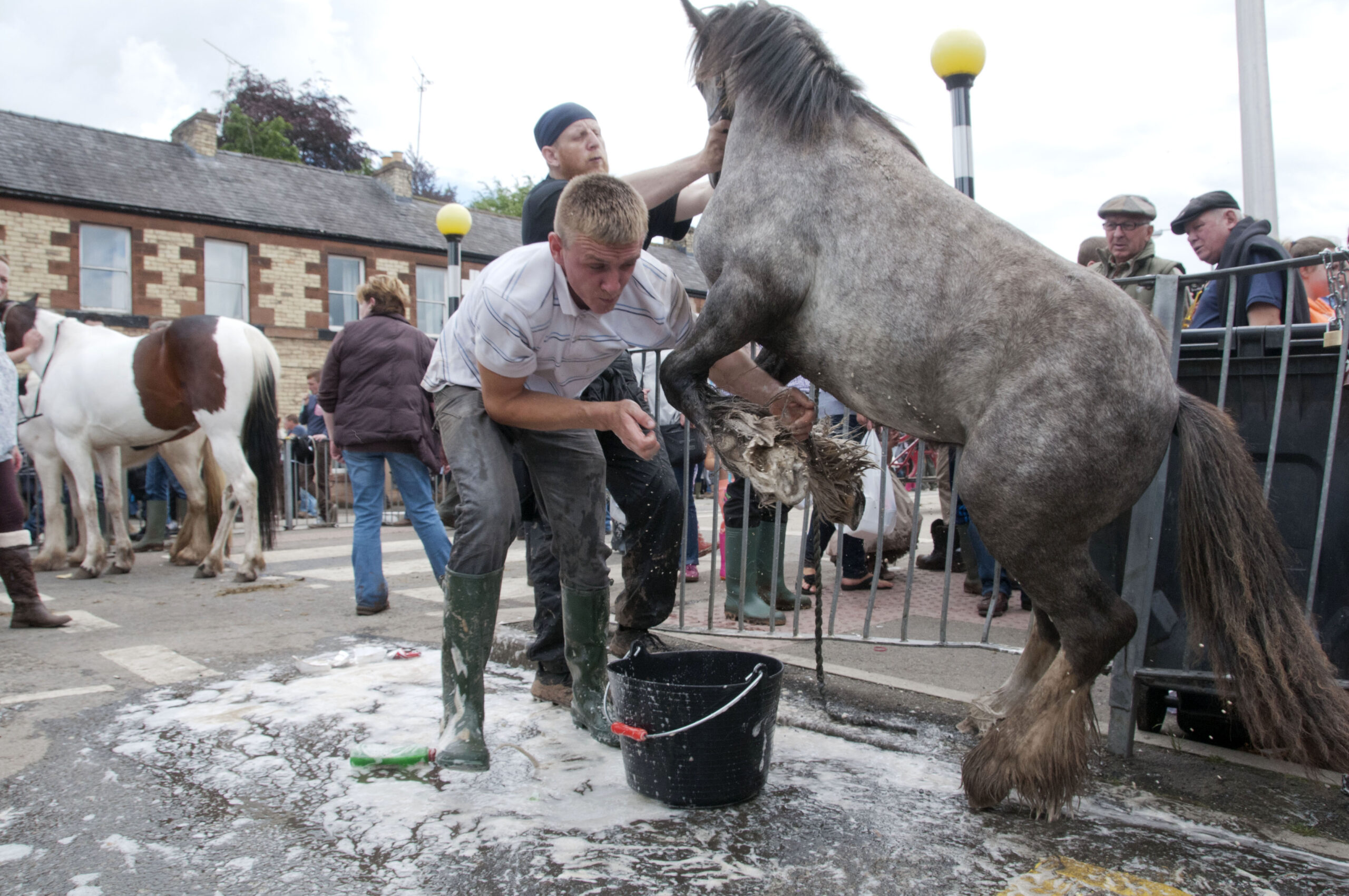 Appleby Horse Fair