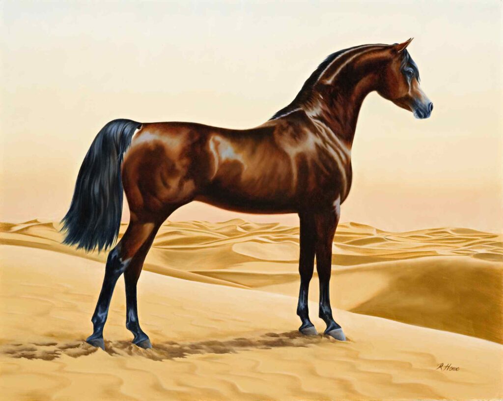 Painting of an Arab horse by William Barraud, 1844