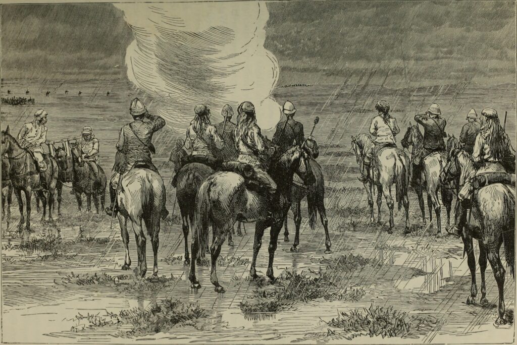 Illustration of an Arab horse
