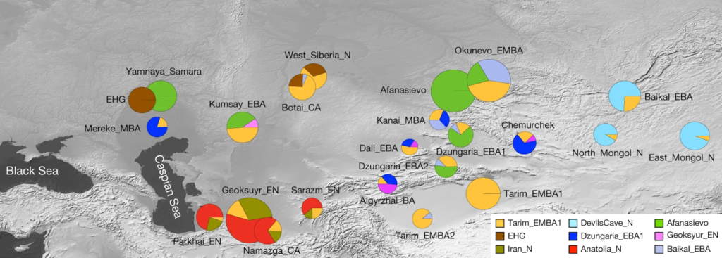 Central Asian admixtures