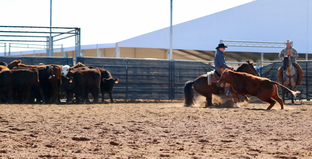 Cutting at Scottsdale 2 (18)