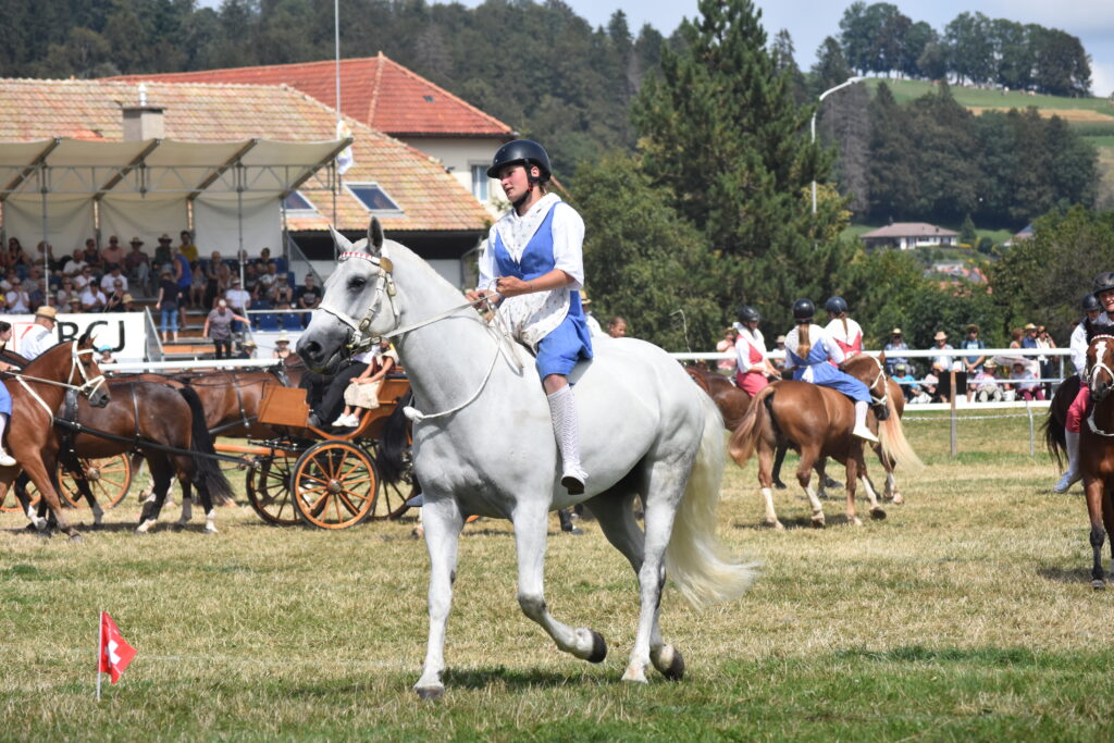 Dressage performance with a rare Freiberger grey horse, ridden by a young rider bareback