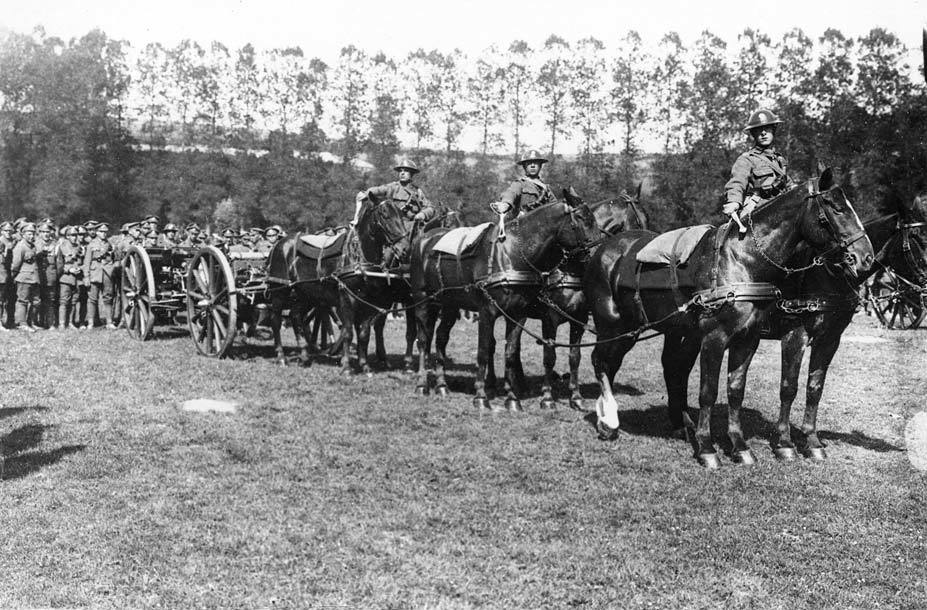A gun team in a field surrounded by trees. There are six horses pulling a gun with three soldiers