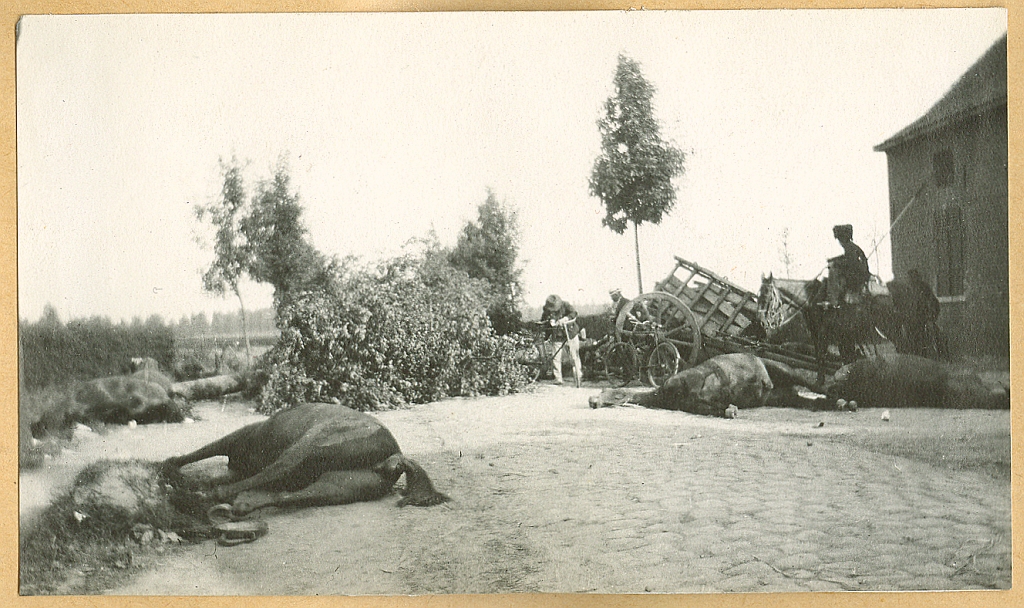 The battlefield at Halen, 13 August 1914
