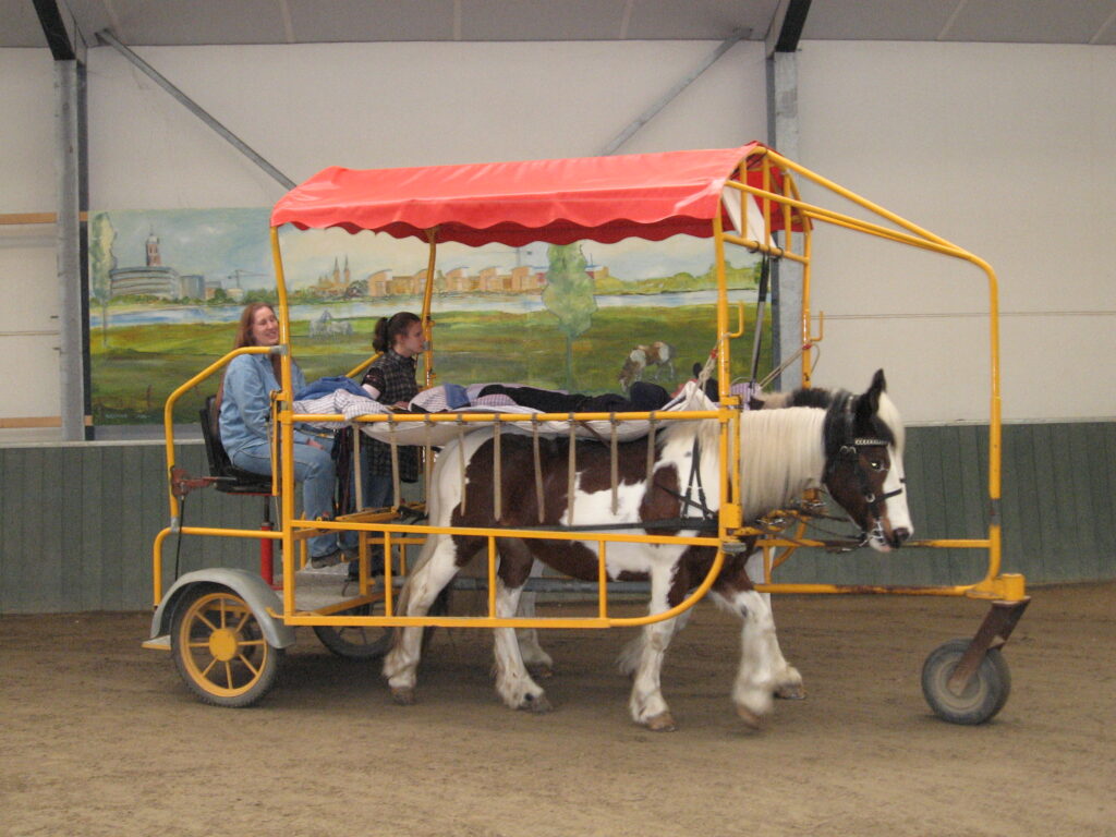 Horse drawn litter of a style used formerly as a battlefield ambulance, now as hippotherapy.