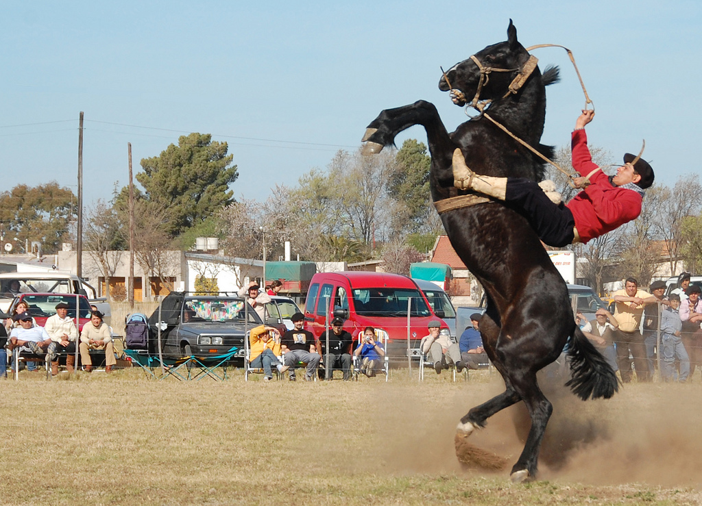 A horse (with rider) rearing out of control