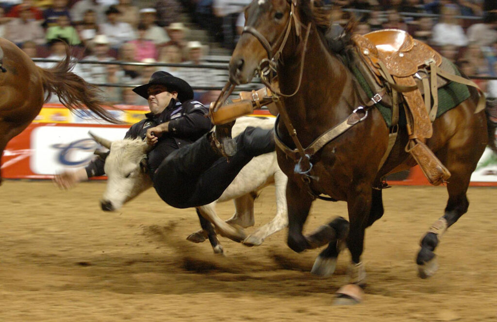 Las Vegas, May 15 - Steer wrestler Luke Branquinho, one of eight Army-sponsored cowboys in the Professional Rodeo Cowboys Association, leaps off his horse and onto a steer at the Pace Picante Pro Rodeo Chute Out in Las Vegas Saturday. Branquinho won the steer wrestling competition and took home more than $20,000 from the rodeo.