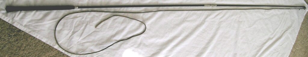 Lungeing whip