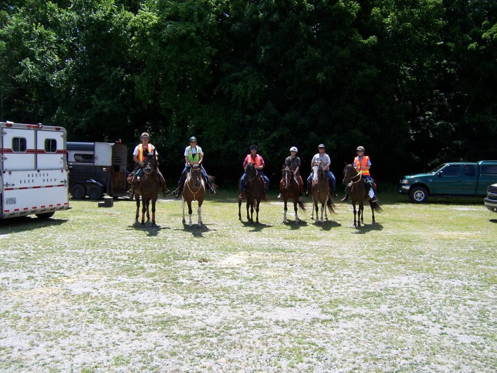 Mounted search and rescue training group