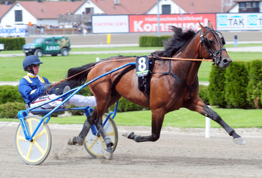 Örjan Kihlström with the horse Iceland during a harness race, May 30, 2010