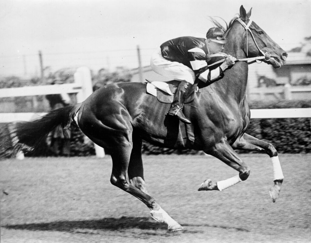 Phar Lap with jockey Jim Pike riding at Flemington race track c 1930