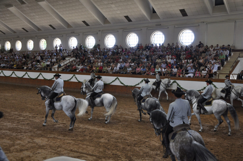 Royal Andalusian School of Equestrian Art