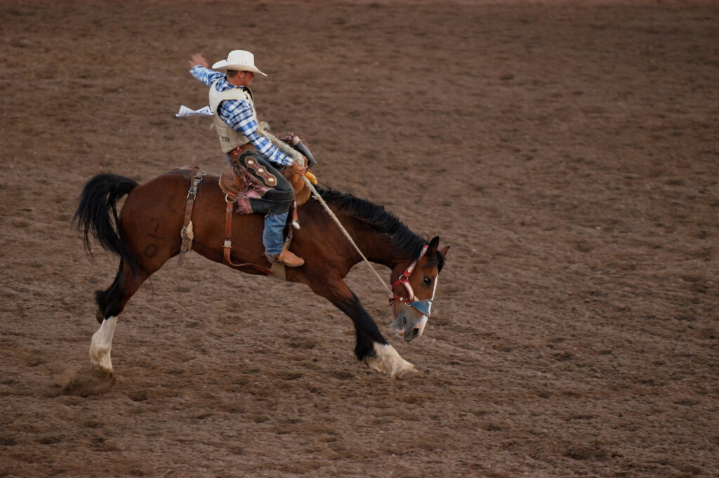Saddle Bronc Riding